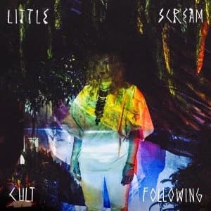 Little Scream - Cult Following Vinyl