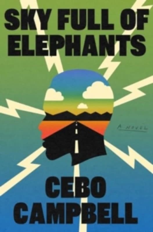 Sky Full of Elephants : A Novel Hardback