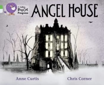 Angel House by Anne Curtis Book