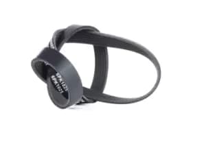 RIDEX V-ribbed belt 305P0398 Serpentine belt,Auxiliary belt VW,AUDI,SKODA,Golf VII Schragheck (5G1, BQ1, BE1, BE2),TIGUAN (5N_)