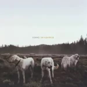 The Albatross by Foxing Vinyl Album