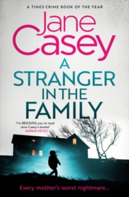 A Stranger in the Family Paperback / softback