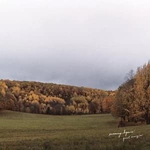 Evening Hymns - Quiet Energies Vinyl