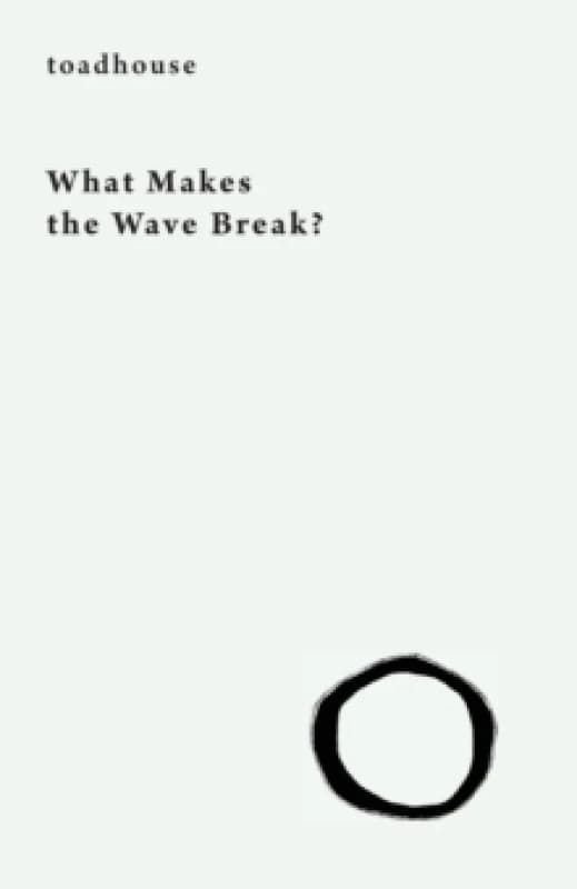 What Makes the Wave Break? Paperback / softback