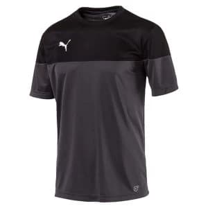 Puma ftblPLAY Training Shirt - Medium