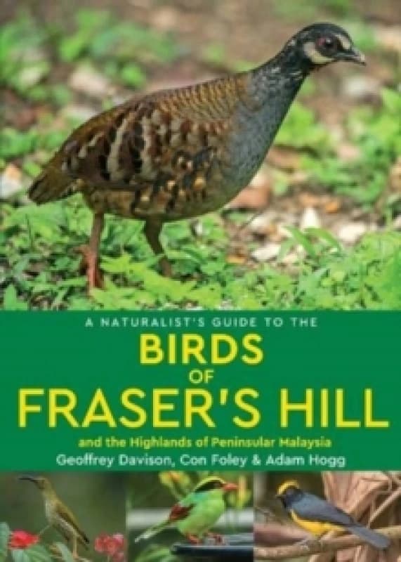 A Naturalist's Guide to the Birds of Fraser's Hill & the Highlands of Peninsular Malaysia Paperback / softback