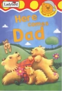 Here Comes Dad by Irene Yates and Nicola Evans Hardback