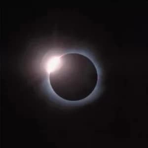 Hail Bop by Django Django Vinyl Album