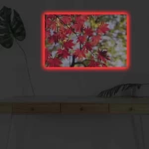 4570DHDACT-064 Multicolor Decorative LED Lighted Canvas Painting