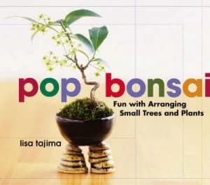 Pop Bonsai Fun with Arranging Small Trees and Plants by Lisa Tajima Book