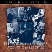 History of the Blues: Acoustic to Electric