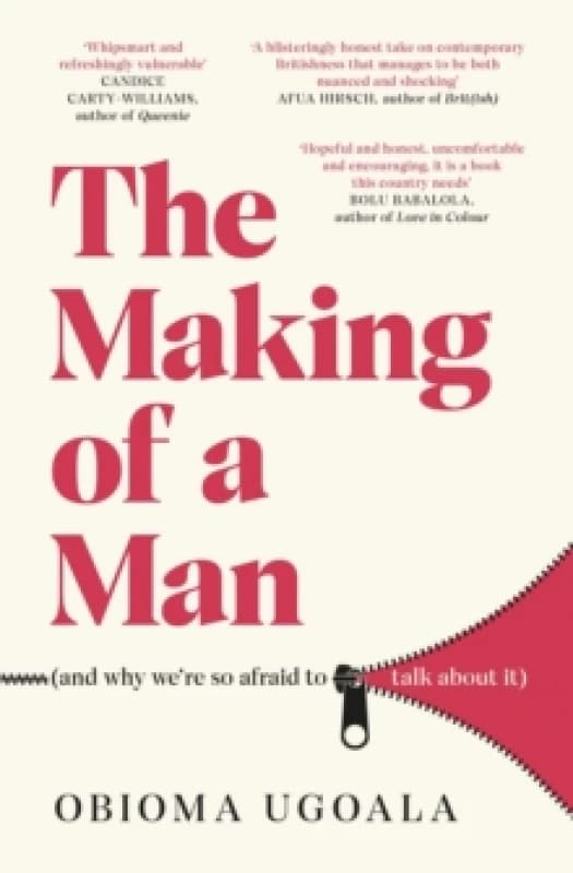 The Making of a Man (and why we're so afraid to talk about it) Paperback / softback