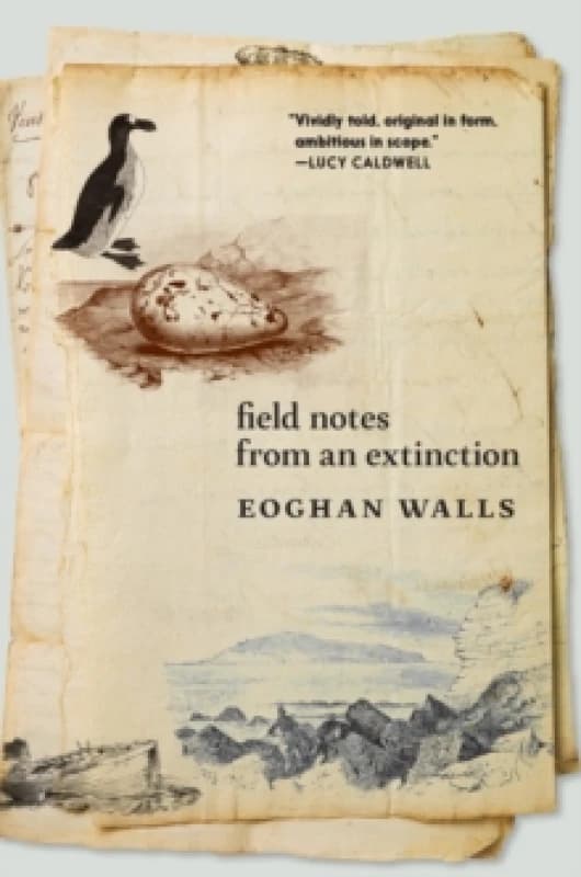 Field Notes from an Extinction Paperback / softback