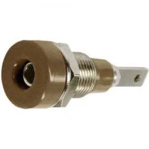 Jack socket Socket vertical vertical Pin diameter 2mm Brown S