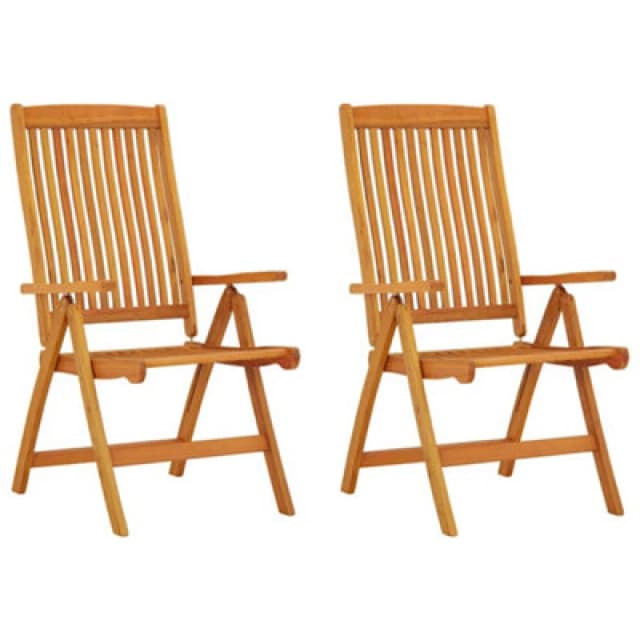 vidaXL Folding Garden Chairs 2 pcs Solid Wood Eucalyptus, Brown 316069