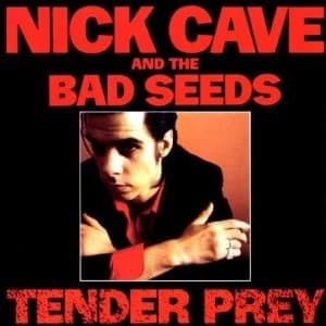 Nick Cave & The Bad Seeds - Tender Prey Vinyl