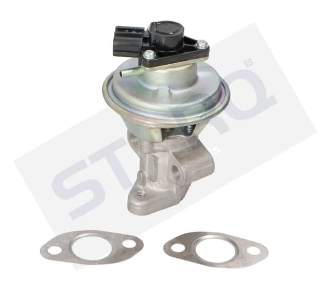 STARQ SQ322-07218 EGR valve with seal rings EGR Valve (1145)