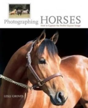 Photographing Horses by Lesli Groves Hardback