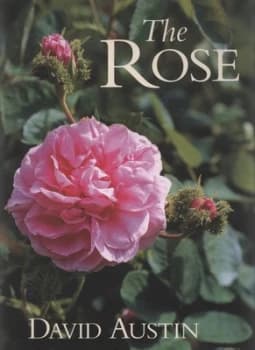 The Rose by David Austin Hardback