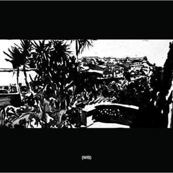 Wild Books - 2 Vinyl