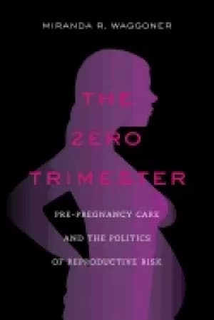 zero trimester pre pregnancy care and the politics of reproductive risk