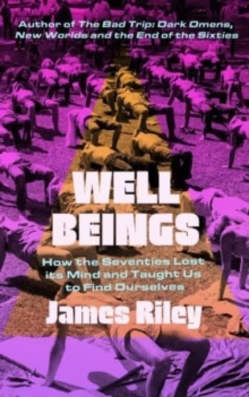 Well Beings : How the Seventies Lost its Mind and Taught Us to Find Ourselves Hardback