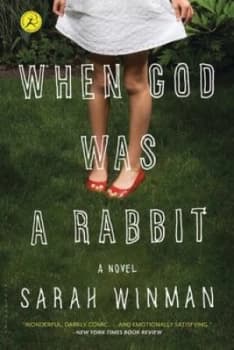 When God Was a Rabbit Book