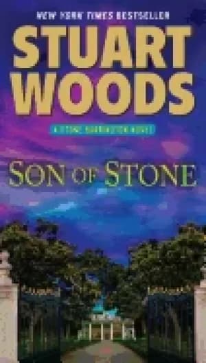 son of stone a stone barrington novel