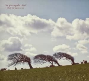 What We Have Sown by The Pineapple Thief Vinyl Album