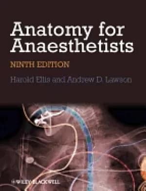 anatomy for anaesthetists