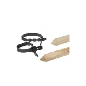 Double Tree Planting Kit for 2 trees