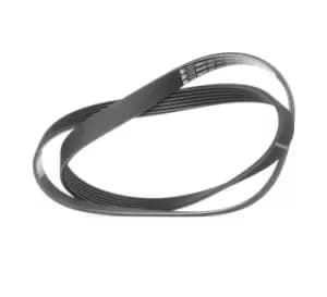 Bosch V-ribbed belt BMW,RENAULT,FIAT 1 987 947 818 60573075,5750D0,5750M3 5750VJ,9641069580,K9641069580,9641069580,K9641069580,SH0115909,1192016E01