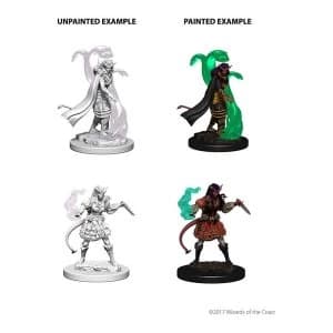 Tiefling Female Sorcerer