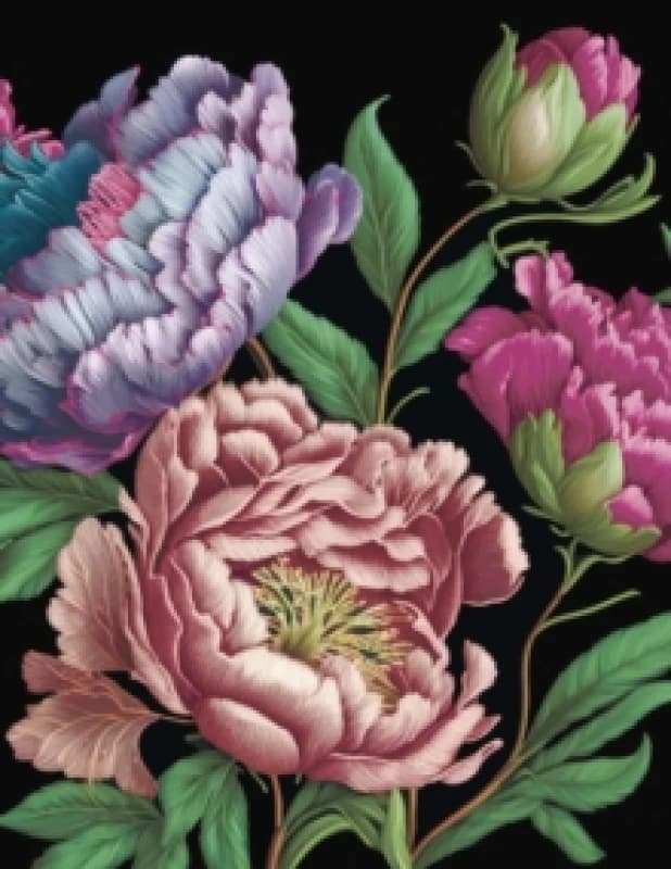 Peonies Journal. Paperback. By Editors of Chartwell Books Books