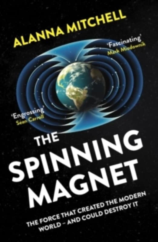 The Spinning Magnet : The Force That Created the Modern World - and Could Destroy It Paperback / softback