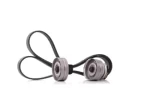 SKF V-ribbed belt set OPEL,VAUXHALL VKMA 35314 11288510238,11288512248,11288575058 38940PLZD00,1854421,6204663,6340618,6340658,6854427,97184930