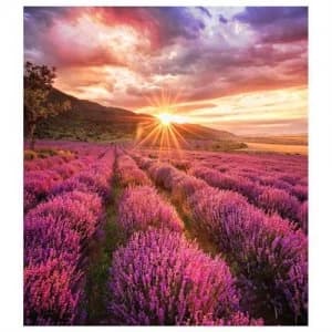 Samsung IF015H-E LED Digital signage flat panel