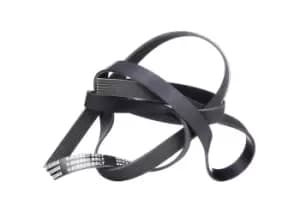 RIDEX V-ribbed belt AUDI,MERCEDES-BENZ 305P0104 06E903137Q,6E903137Q,53007539 53010276,0099971892,0109976392,0109978392,0109979292,0119970692