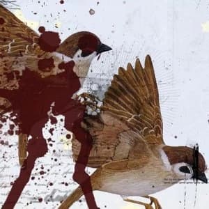 This Is What the Edge of Your Seat Was Made For by Bring Me the Horizon CD Album