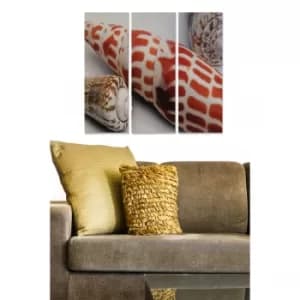 MDFDSCF7978 Multicolor Decorative MDF Painting (3 Pieces)