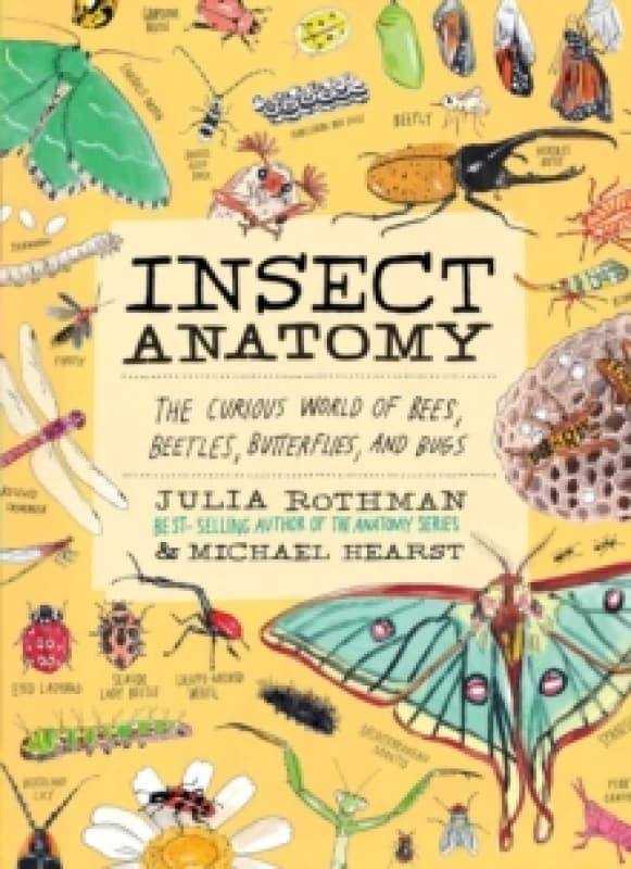 Insect Anatomy : The Curious World of Bees, Beetles, Butterflies, and Bugs Paperback / softback