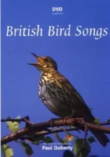 British Bird Songs