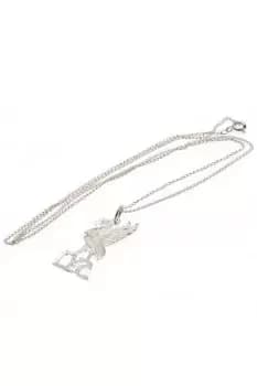 Sterling Silver Liverbird Pendant And Chain