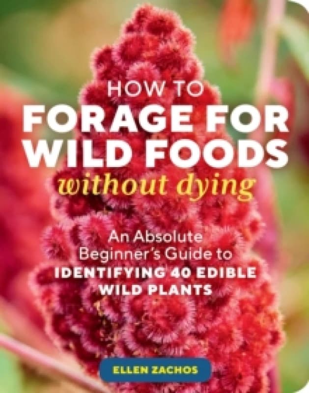 How to Forage for Wild Foods without Dying : An Absolute Beginner's Guide to Identifying 40 Edible Wild Plants Paperback / softback