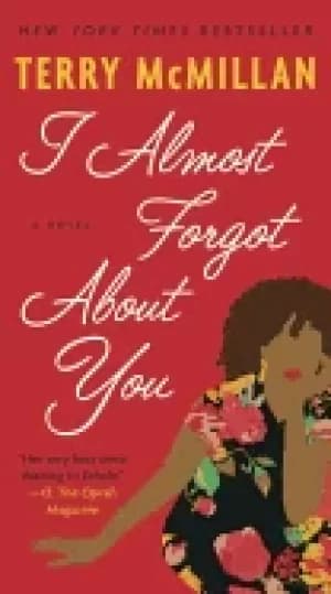 i almost forgot about you a novel