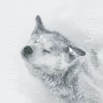 Netherworld - Algida Bellezza CD