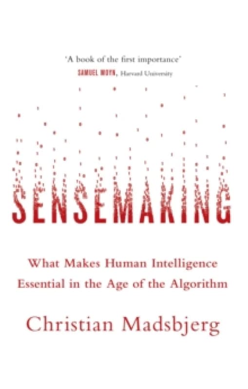 Sensemaking. Paperback. By Christian Madsbjerg Books
