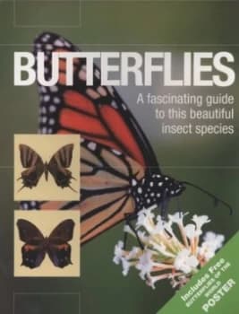 Butterflies Book