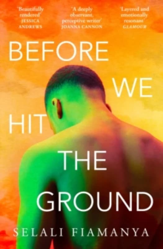Before We Hit the Ground Paperback / softback