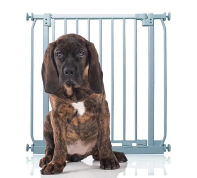 Bettacare Elite Pressure Dog Gate, 71Cm - 80Cm, Matt Grey, Pressure Fit Pet Gate For Dog And Puppy